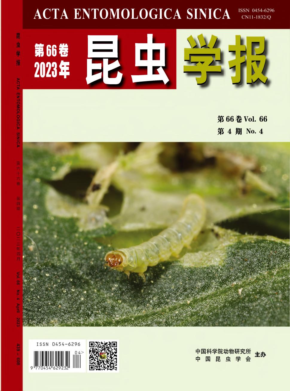 昆虫学报